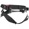 Peter Lynn BASE Harness
