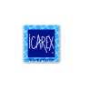 ICAREX Polyester