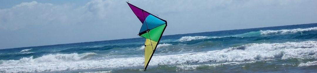 Kites acrobáticos de 2 linhas
